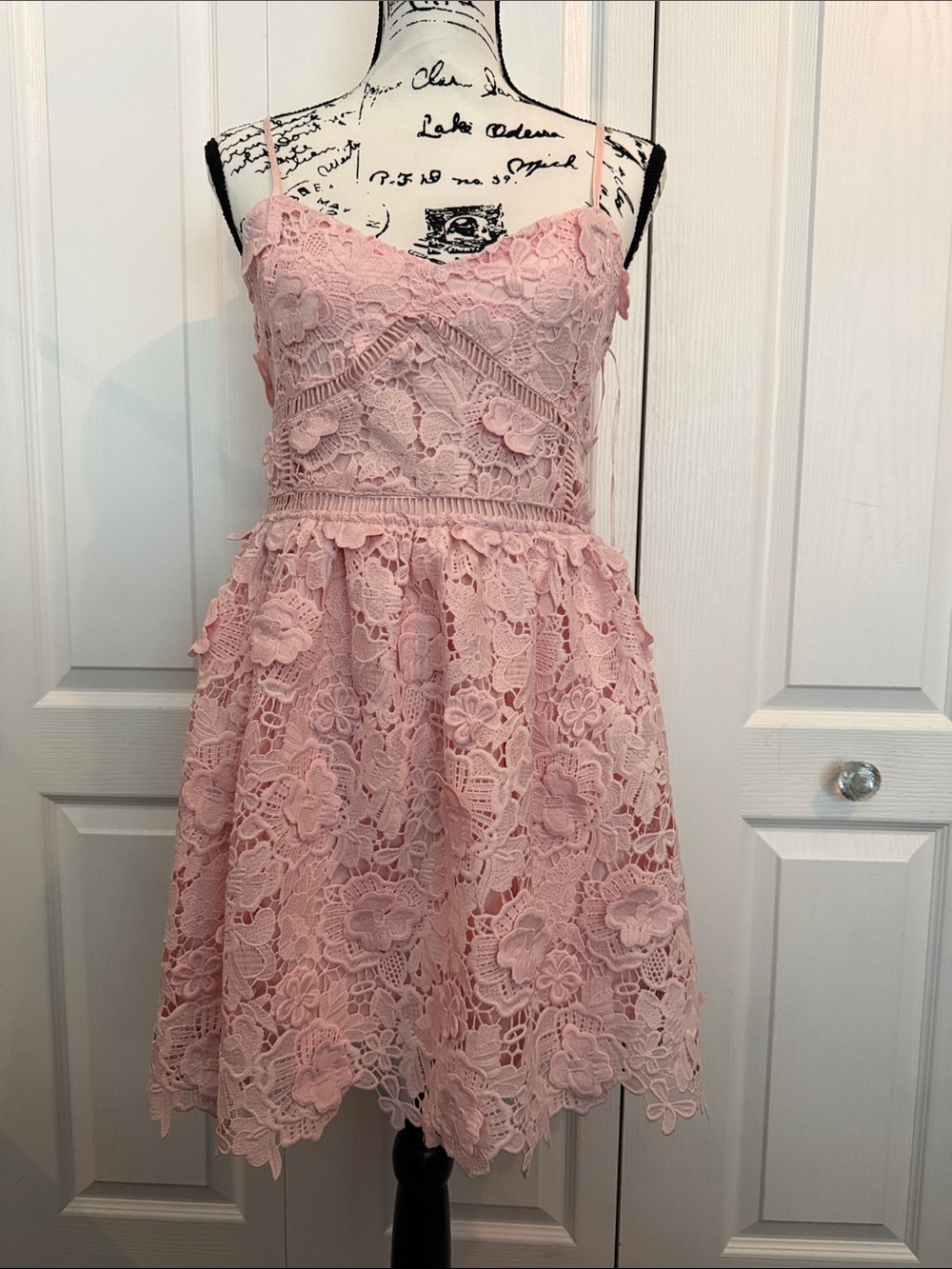 Altar'd State Pink Lace Spaghetti Strap Fit-and-Flare Dress